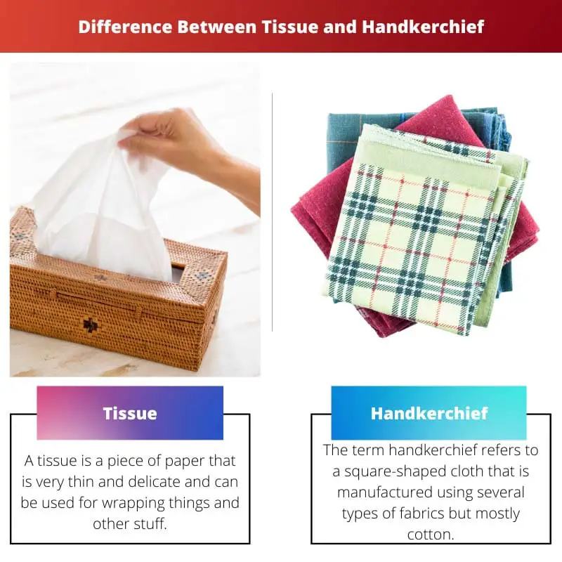 Difference Between Tissue and Handkerchief