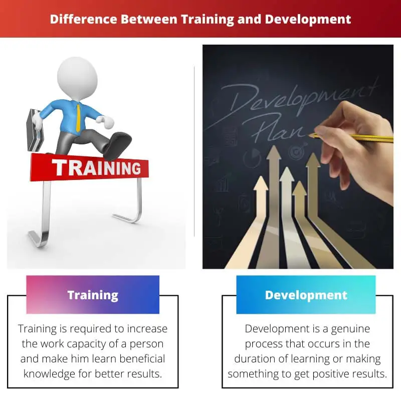 Difference Between Training and Development