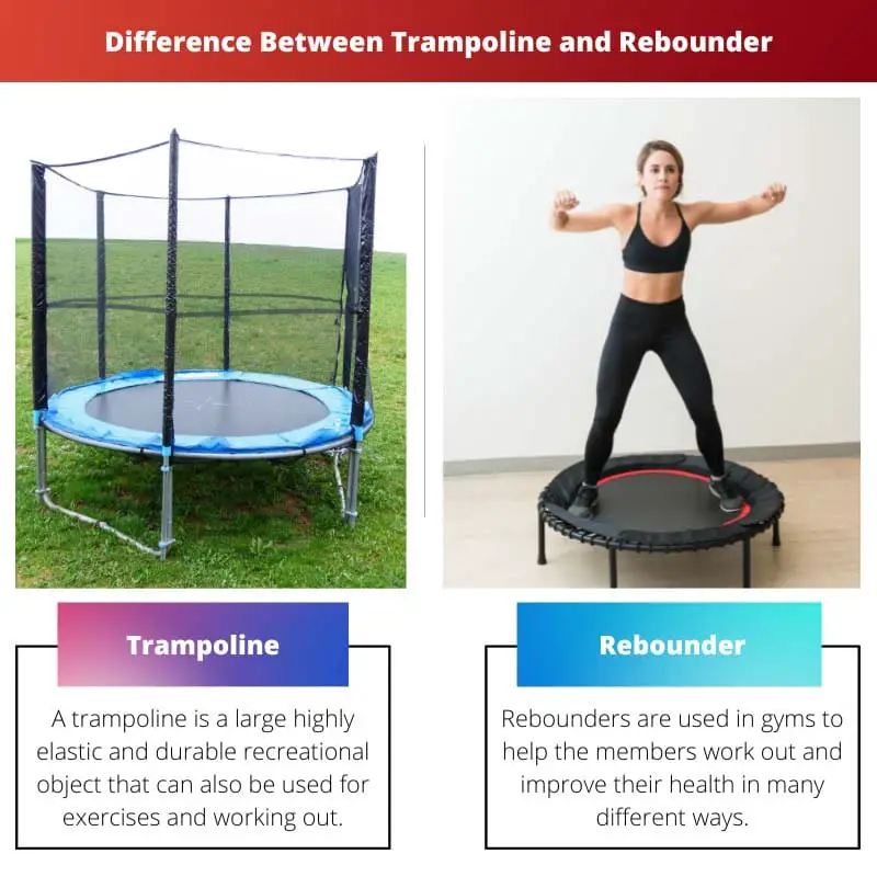Difference Between Trampoline and Rebounder
