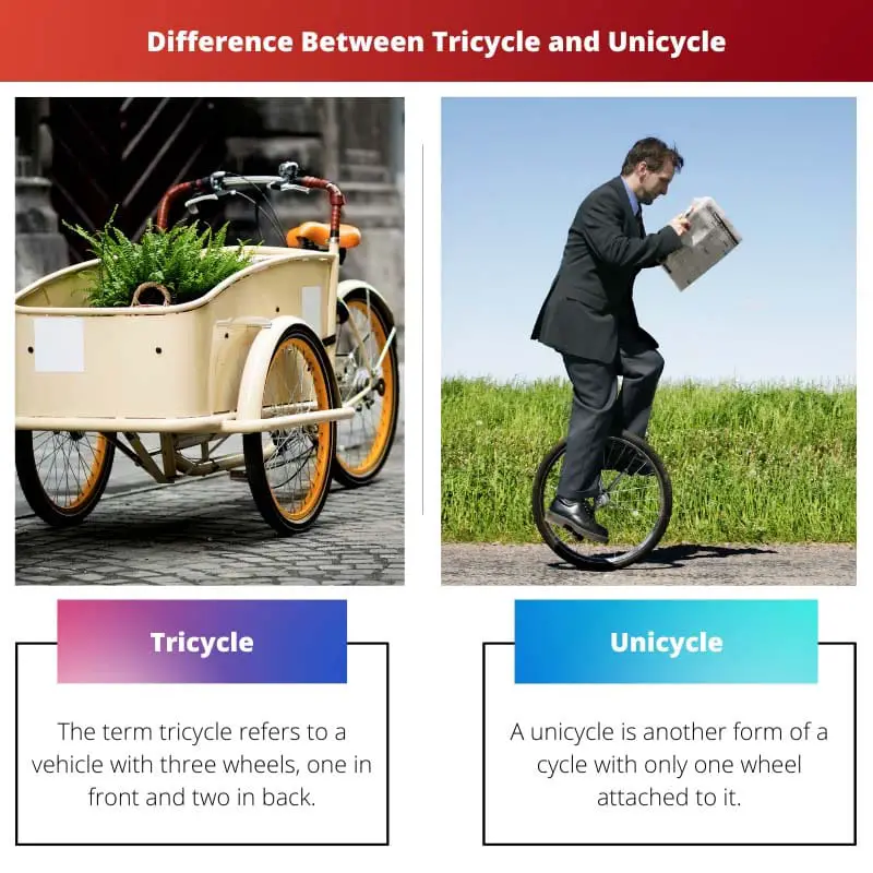Difference Between Tricycle and Unicycle