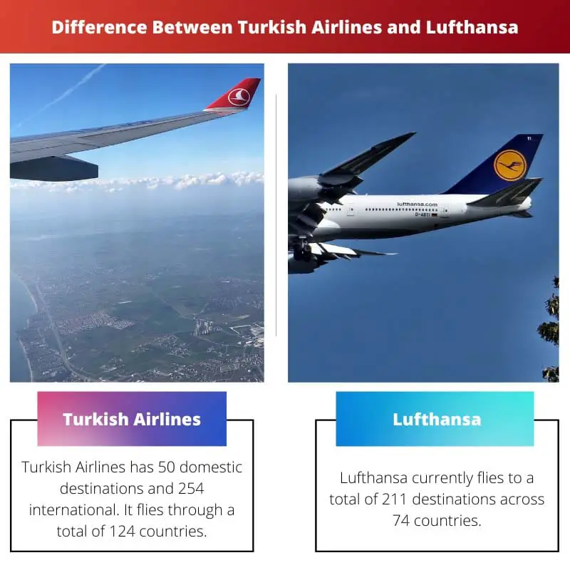 Difference Between Turkish Airlines and Lufthansa