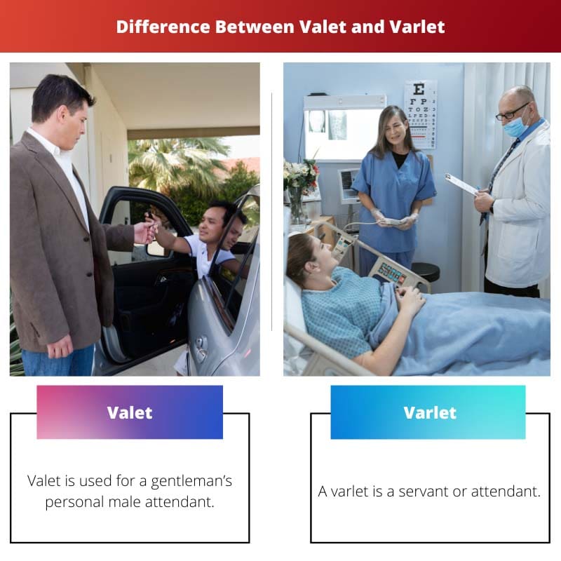 Difference Between Valet and Varlet