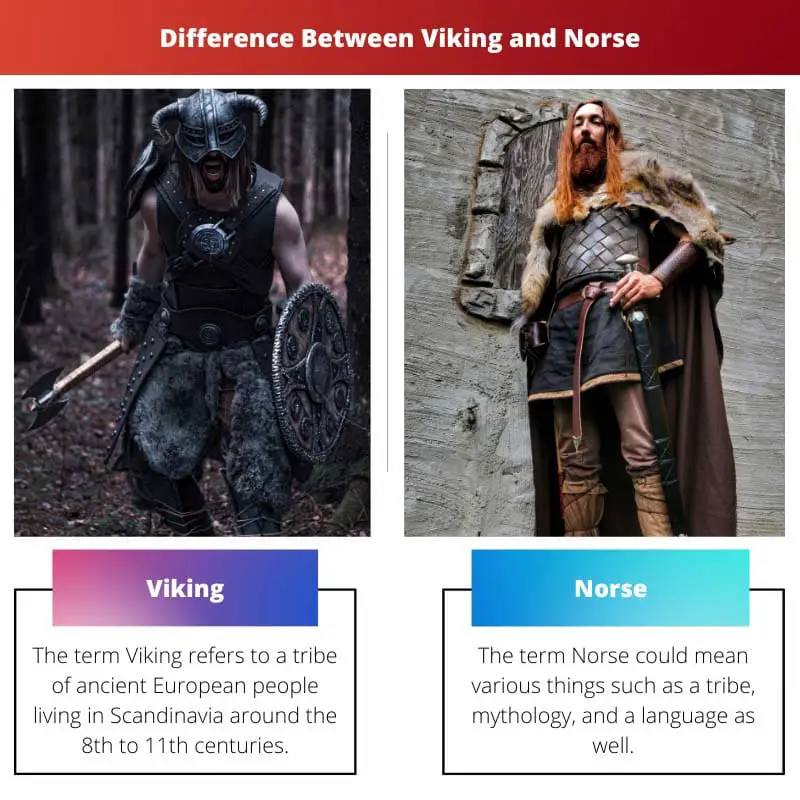 Difference Between Viking and Norse