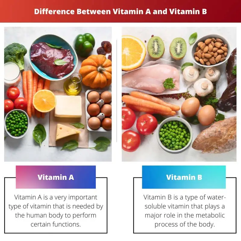 Difference Between Vitamin A and Vitamin B