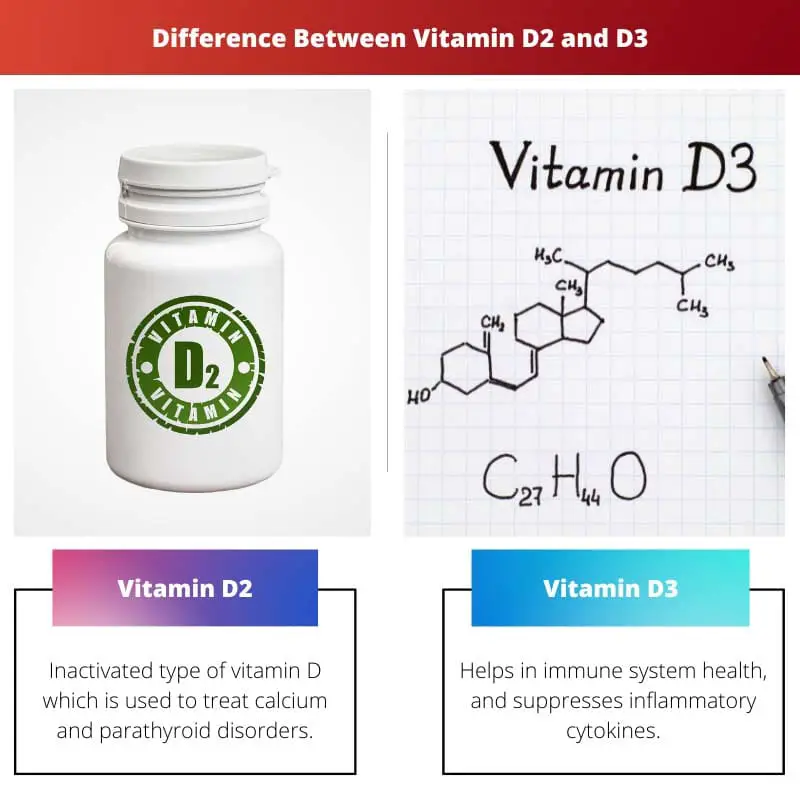 Difference Between Vitamin D2 and D3