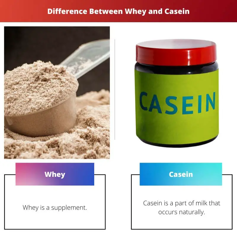 Difference Between Whey and Casein