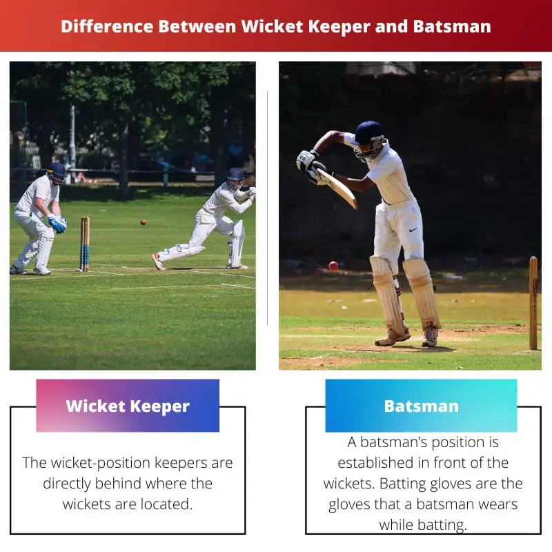 Difference Between Wicket Keeper and Batsman