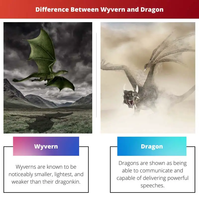 Difference Between Wyvern and Dragon