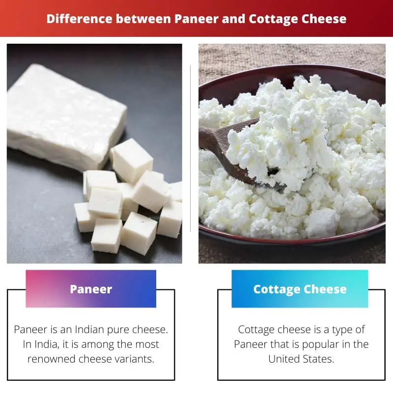 Difference between Paneer and Cottage Cheese