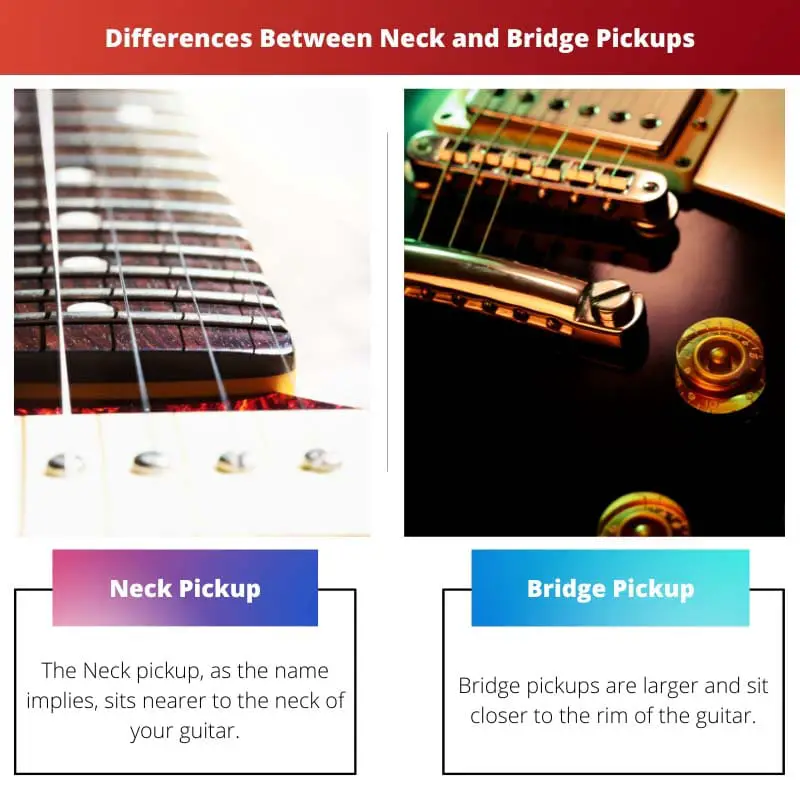 Differences Between Neck and Bridge Pickups