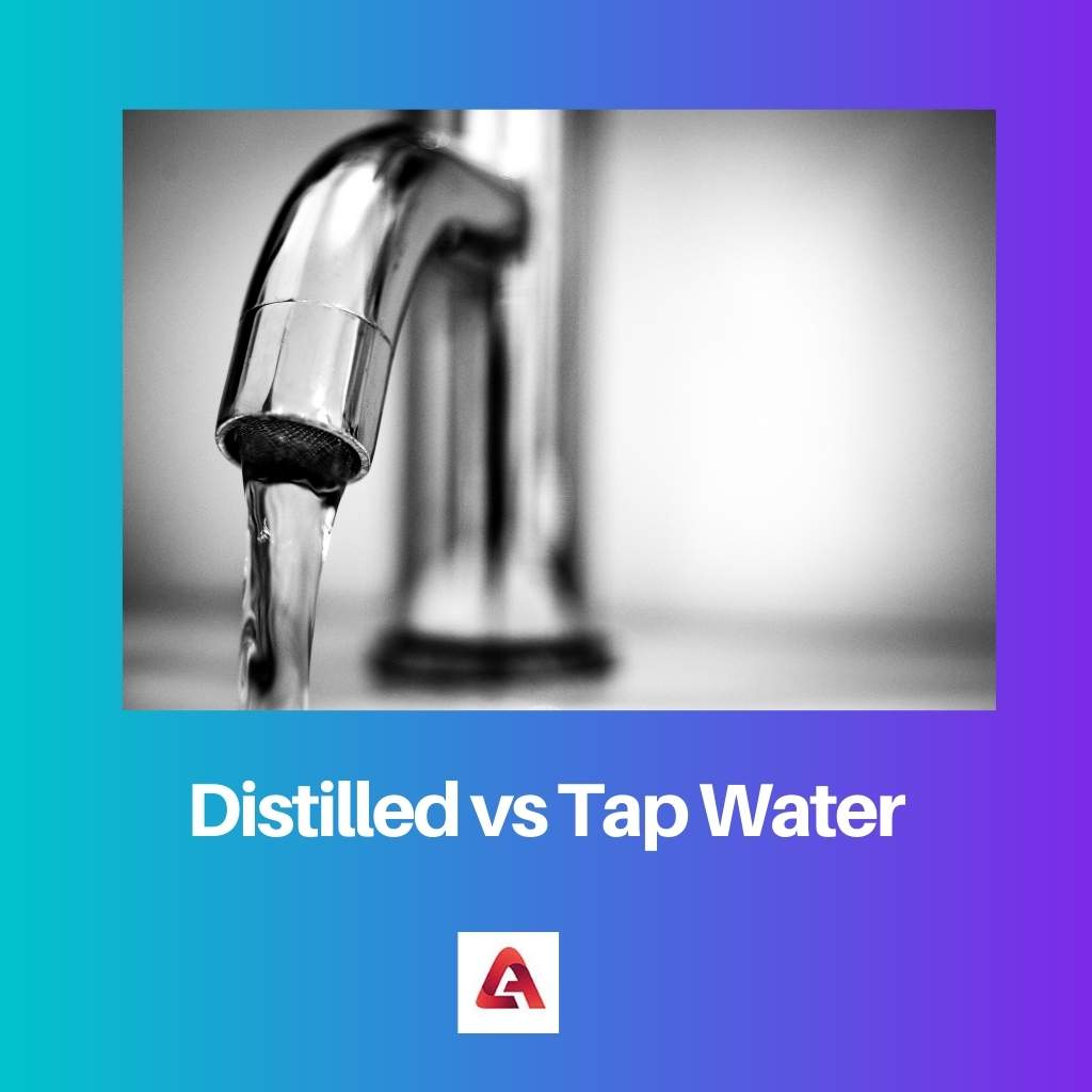 Distilled vs Tap Water