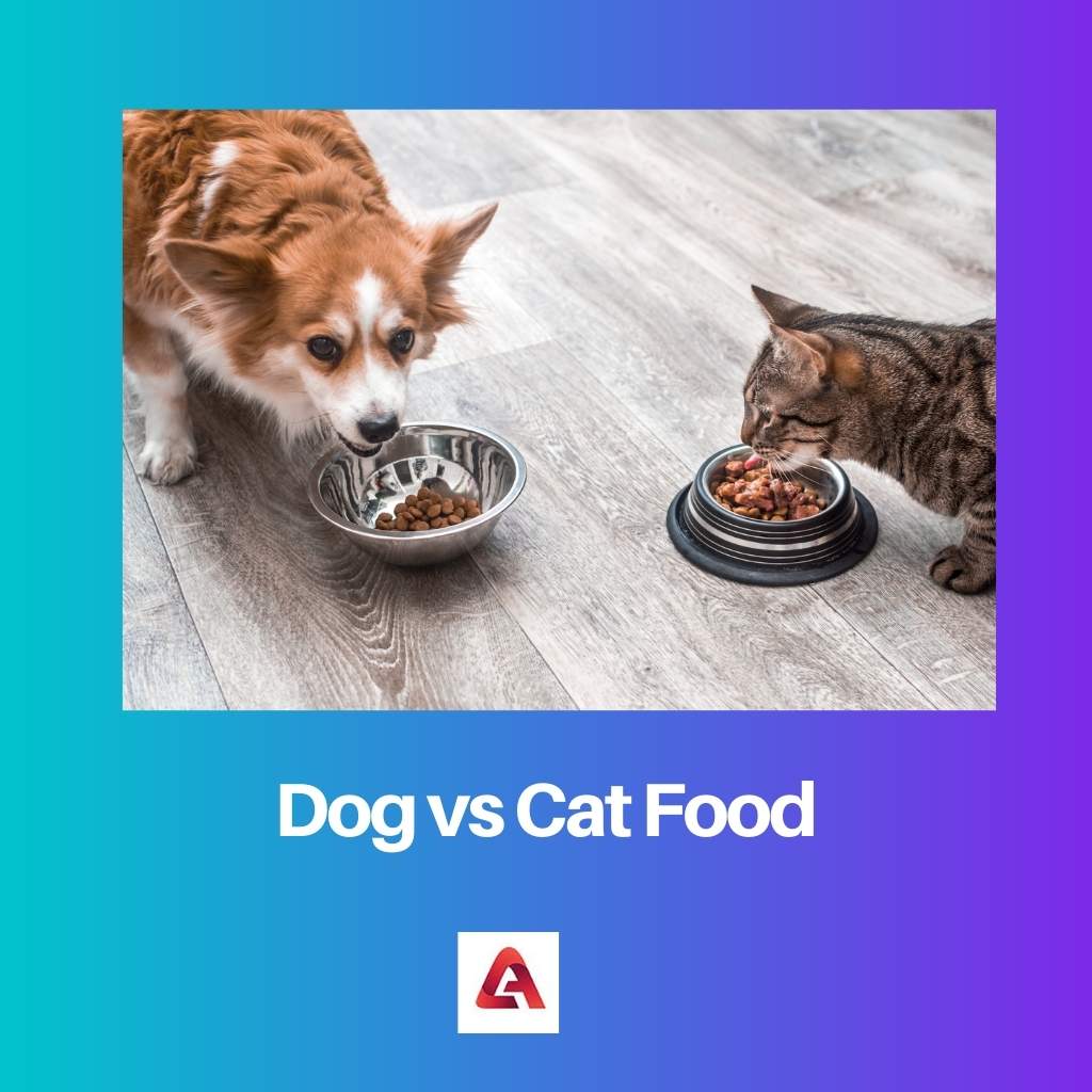 Dog vs Cat Food