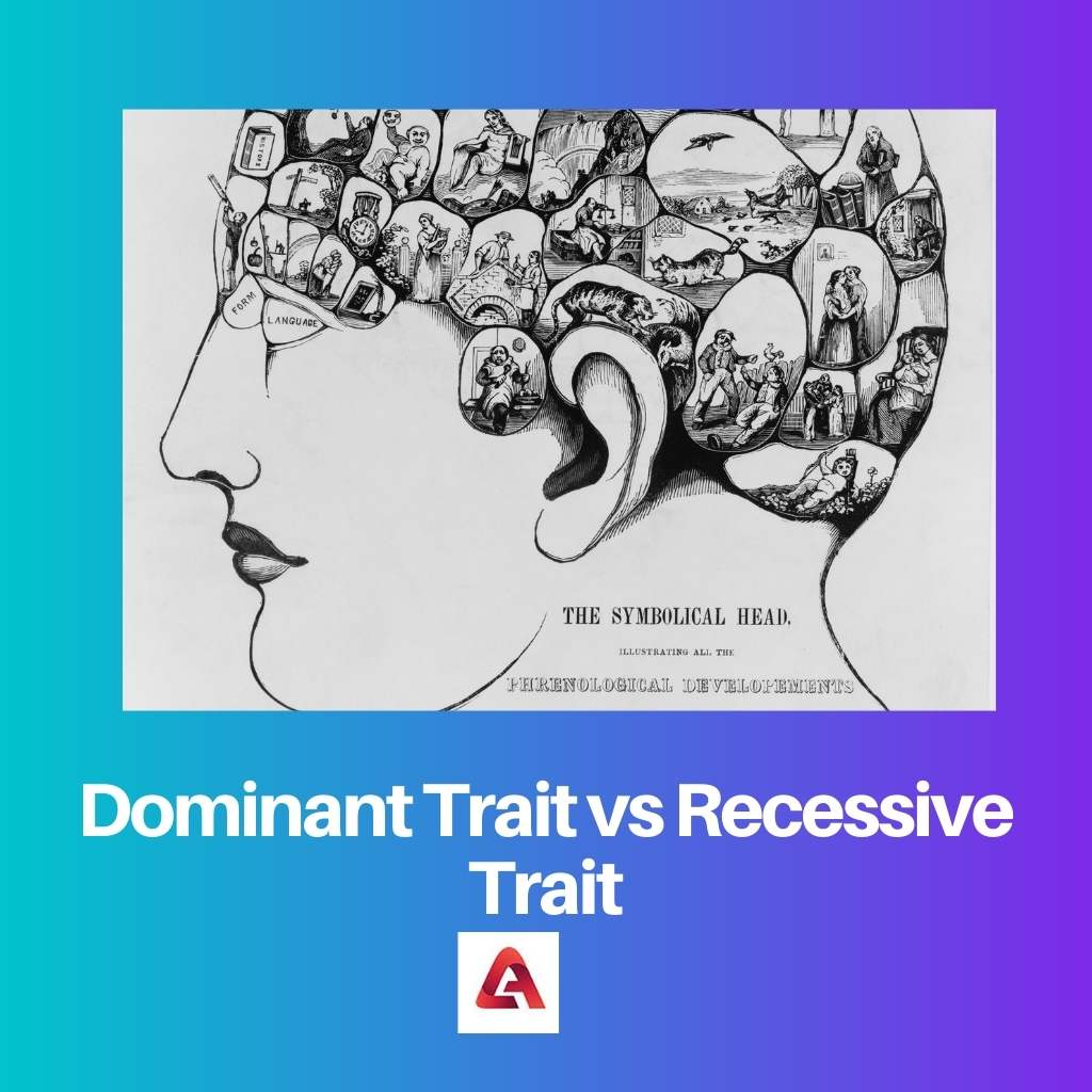 Dominant Trait vs Recessive Trait