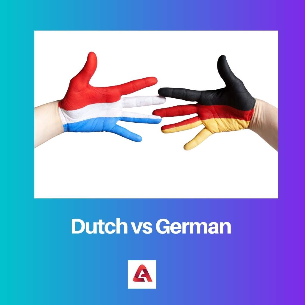 Dutch vs German