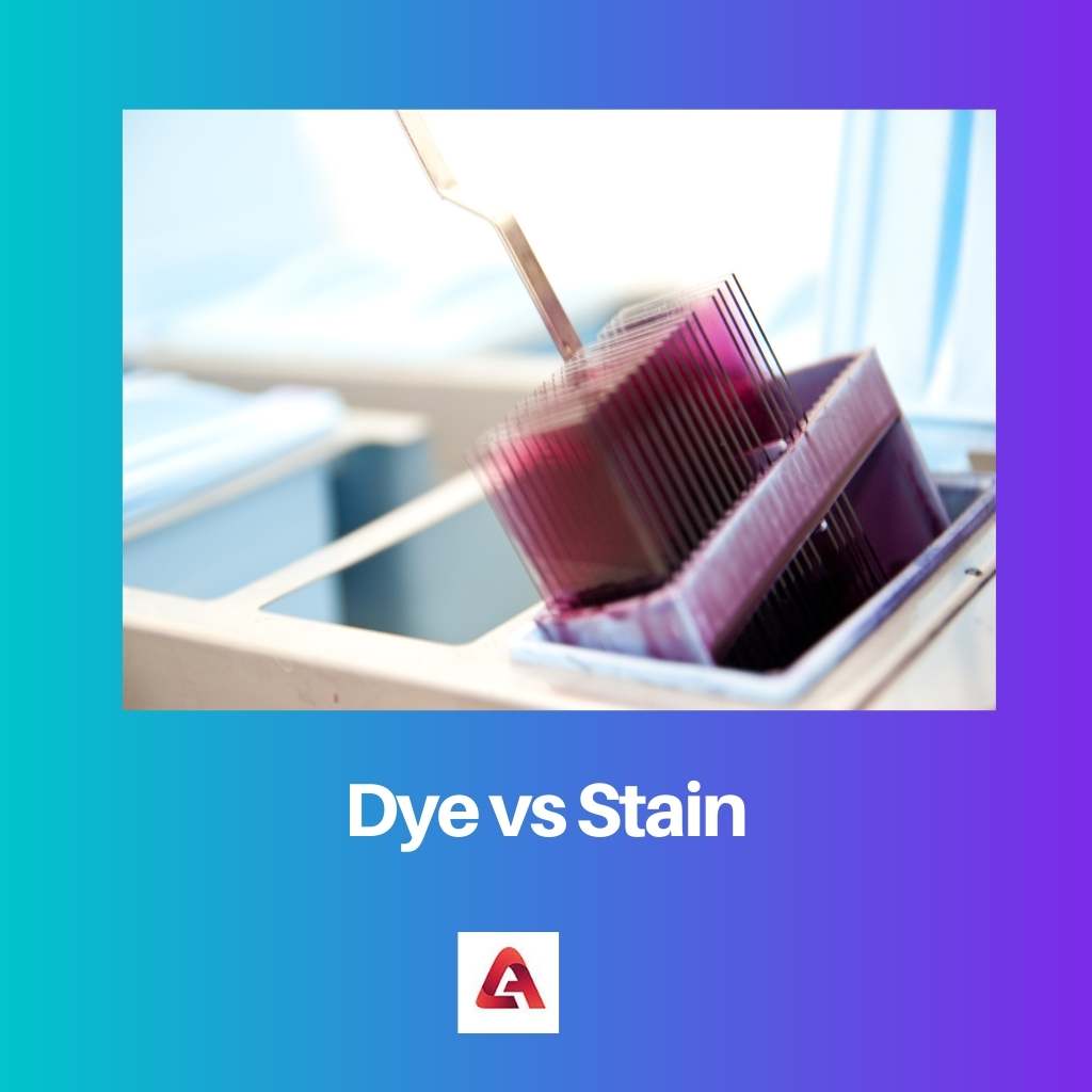 Dye vs Stain