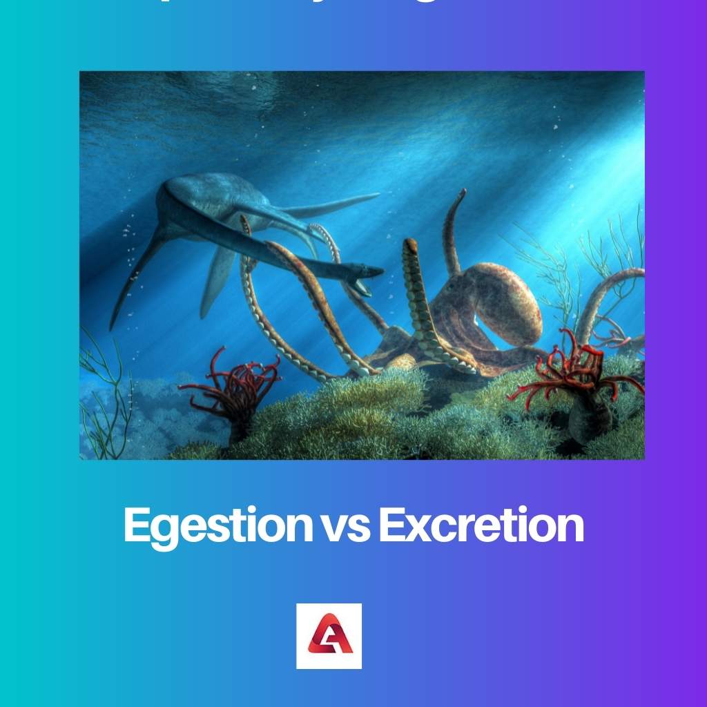 Egestion vs
