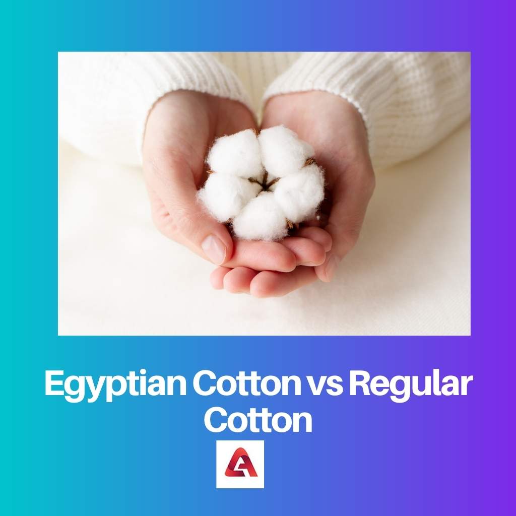 Egyptian Cotton vs Regular Cotton