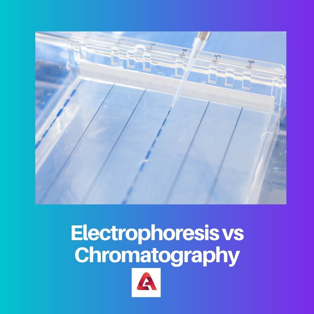 Electrophoresis vs Chromatography