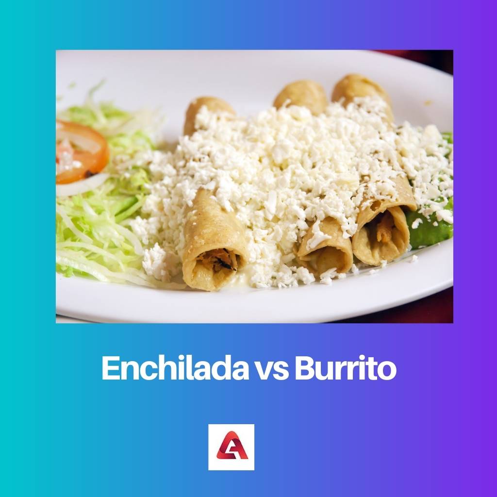 Enchilada vs Burrito