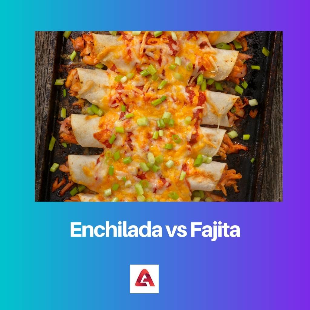 Enchilada vs Fajita