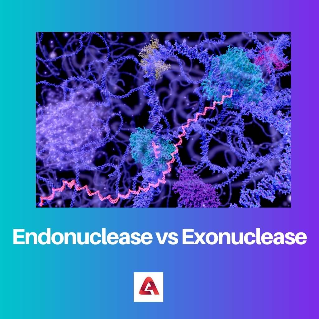 Endonuclease vs