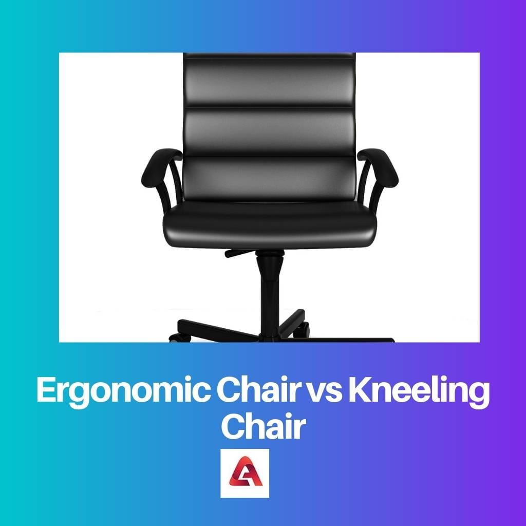 Ergonomic Chair vs Kneeling Chair