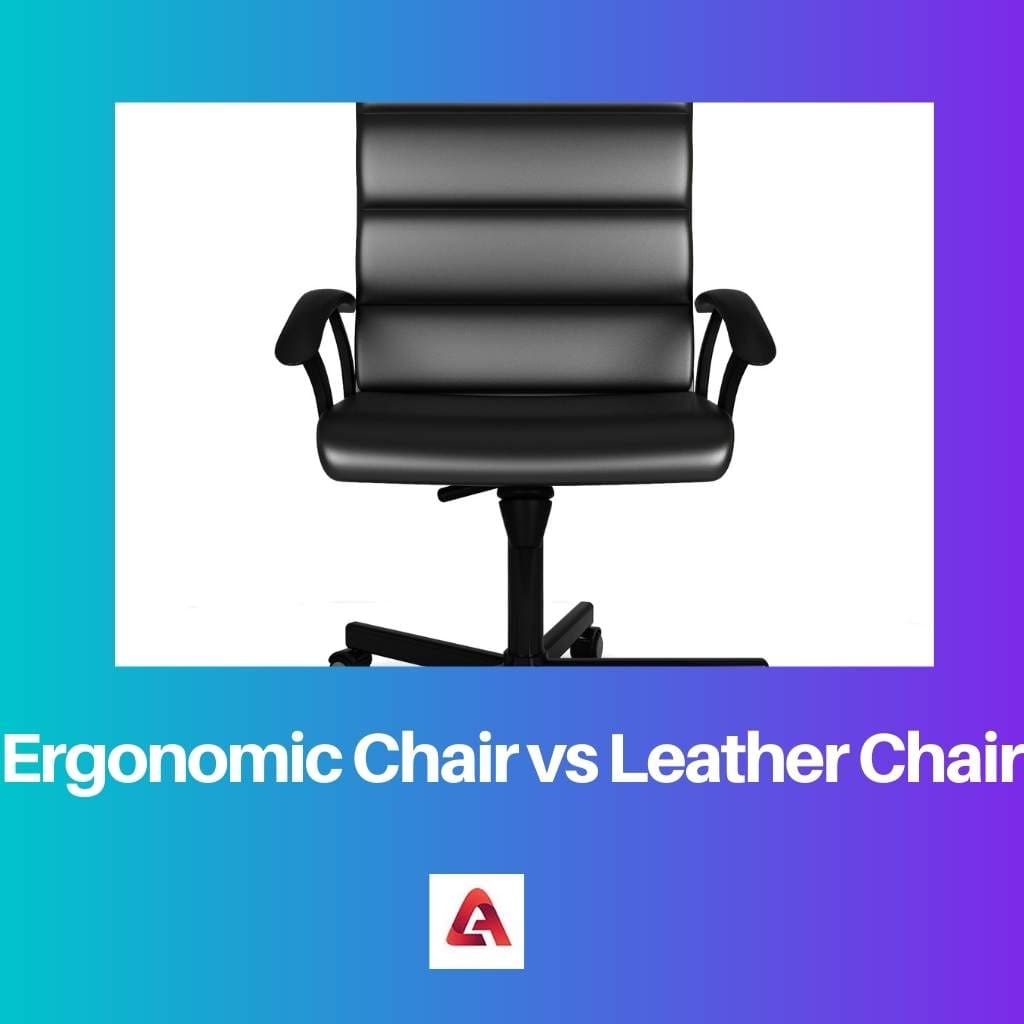 Ergonomic Chair vs Leather Chair