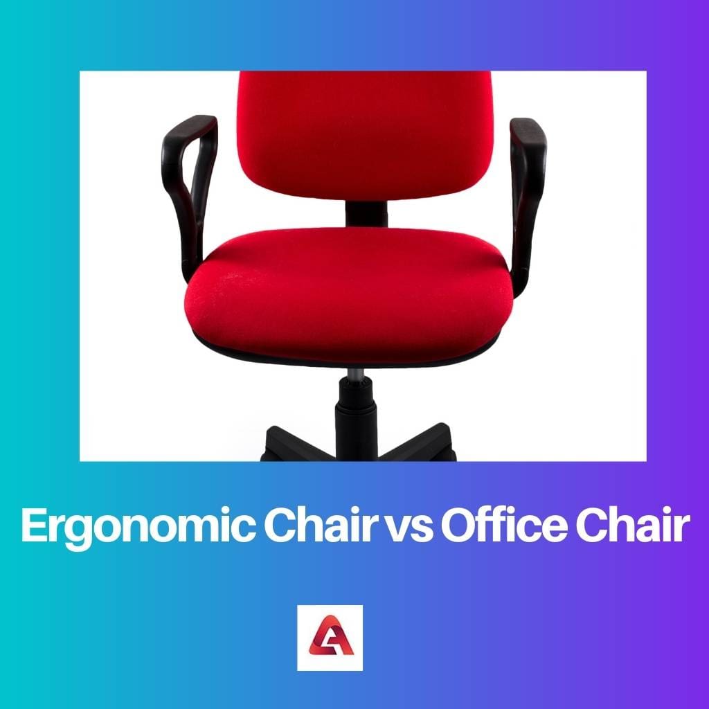Ergonomic Chair vs Office Chair