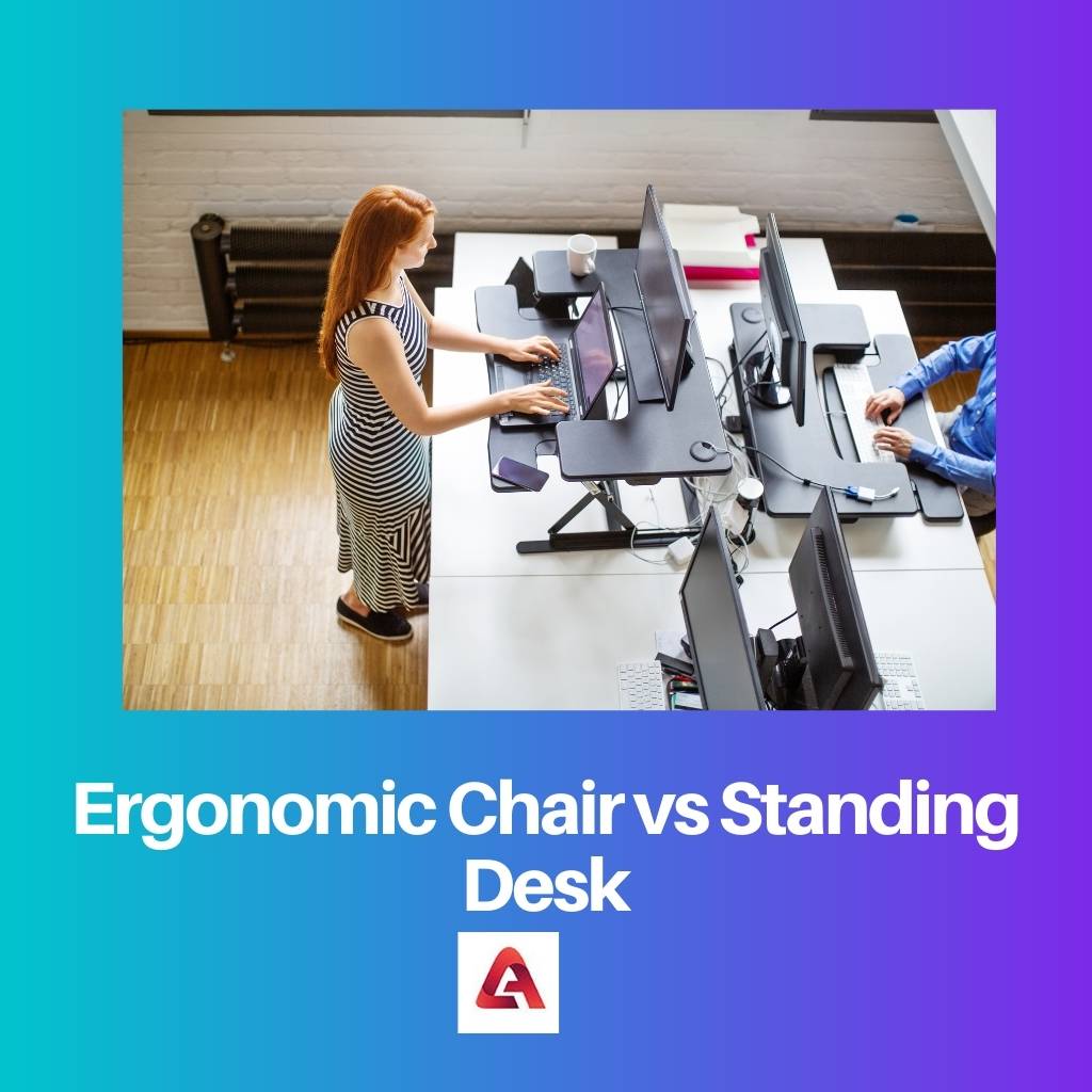 Ergonomic Chair vs Standing Desk
