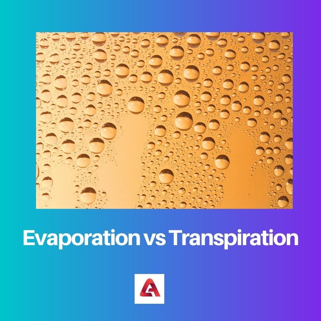 Evaporation vs Transpiration
