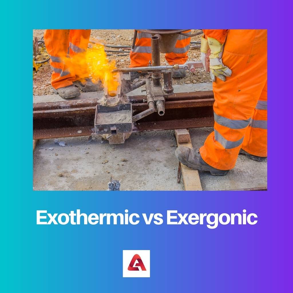 Exothermic vs