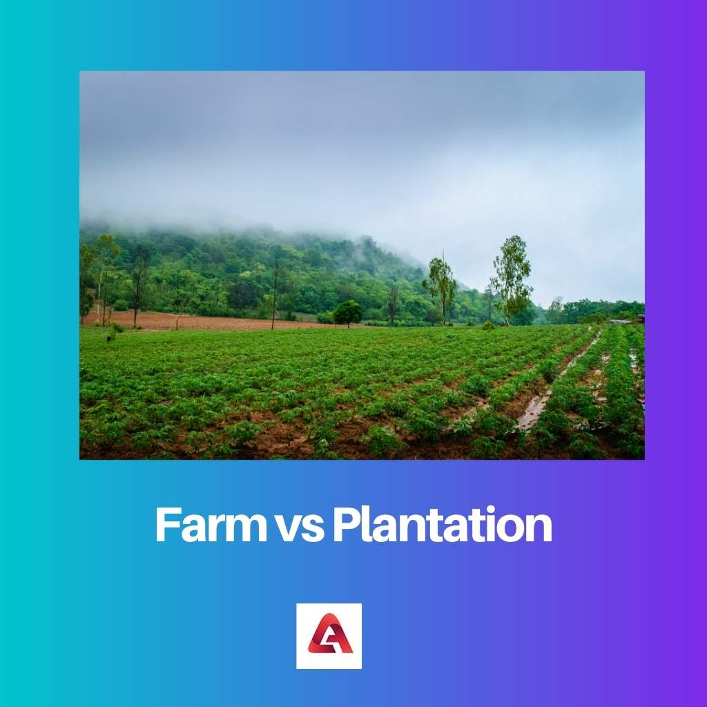 Farm vs Plantation