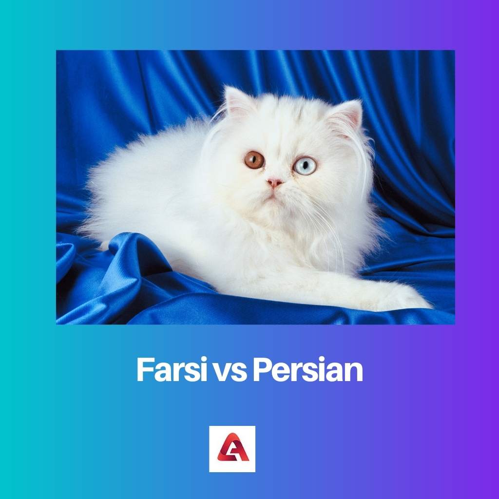 Farsi vs Persian