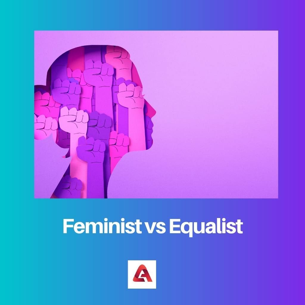 Feminist vs Equalist