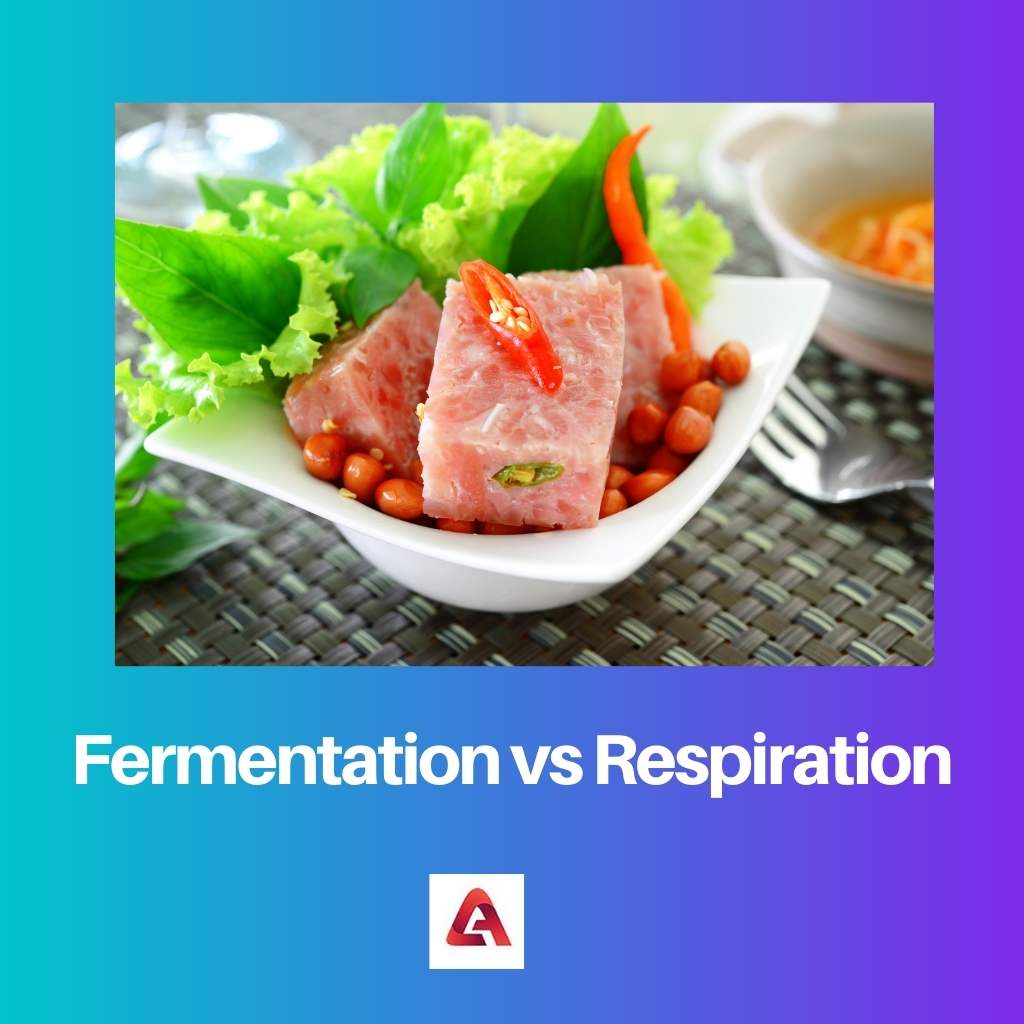 Fermentation vs Respiration