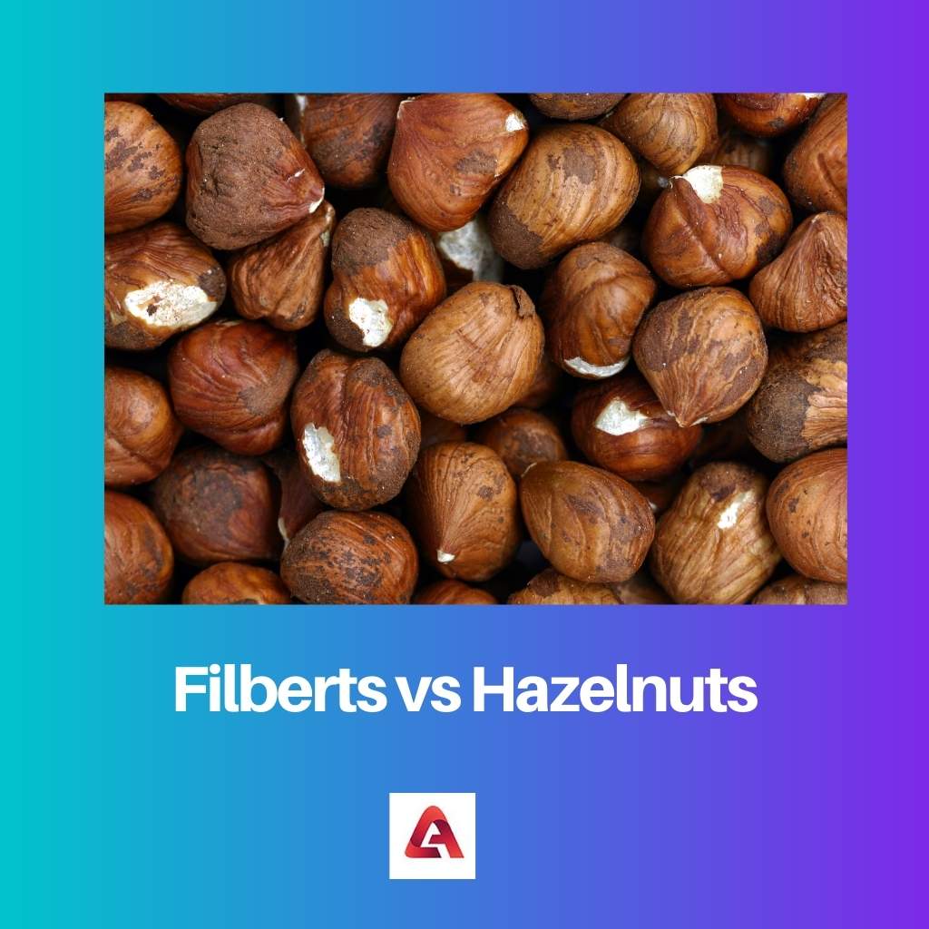 Filberts vs Hazelnuts