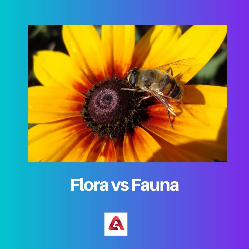 Flora vs Fauna