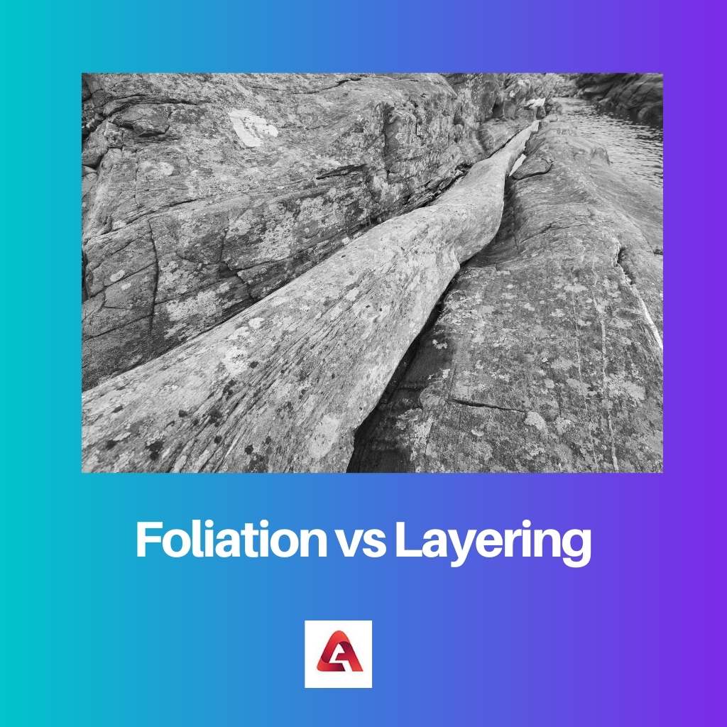 Foliation vs Layering