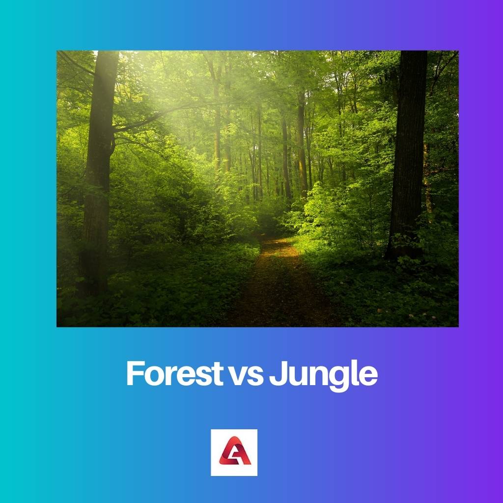 Forest vs Jungle