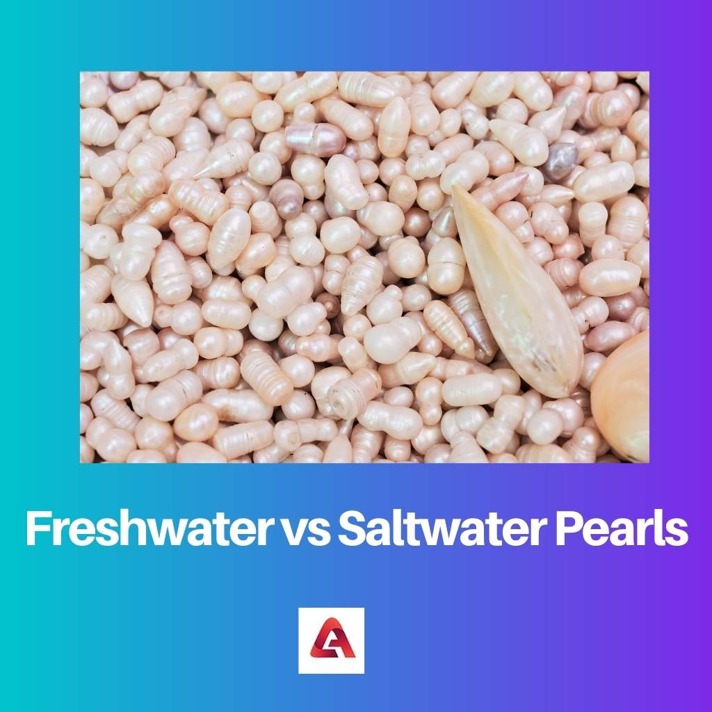 Freshwater vs Saltwater Pearls