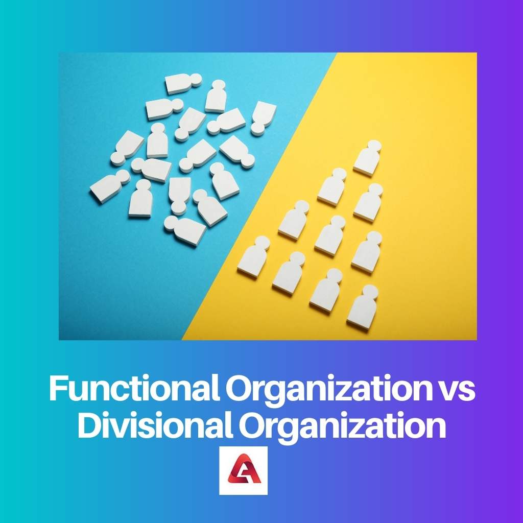 Functional Organization vs Divisional Organization