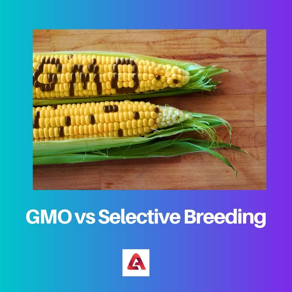 GMO vs Selective Breeding