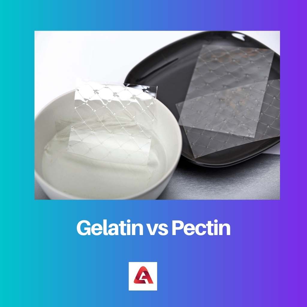Gelatin vs Pectin