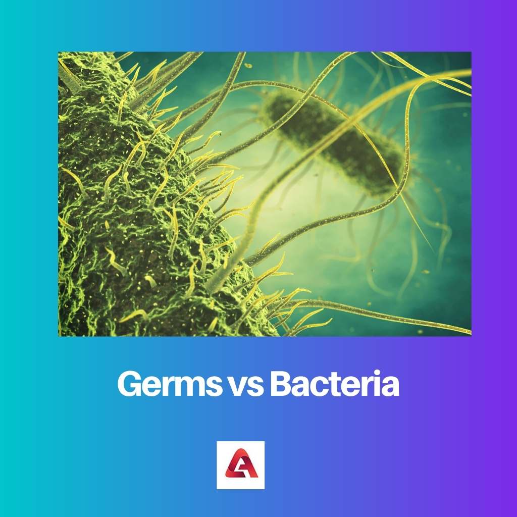 Germs vs Bacteria