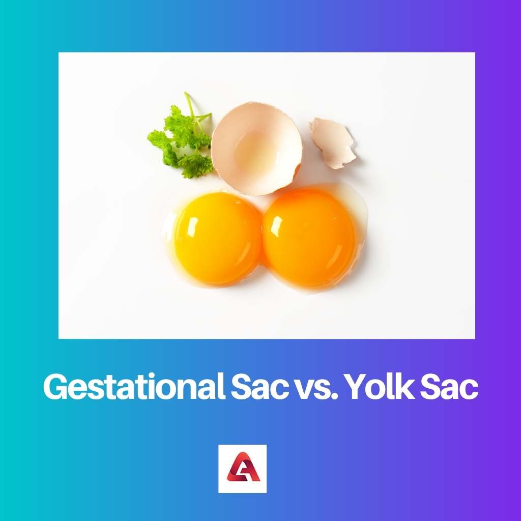 Gestational Sac vs. Yolk Sac