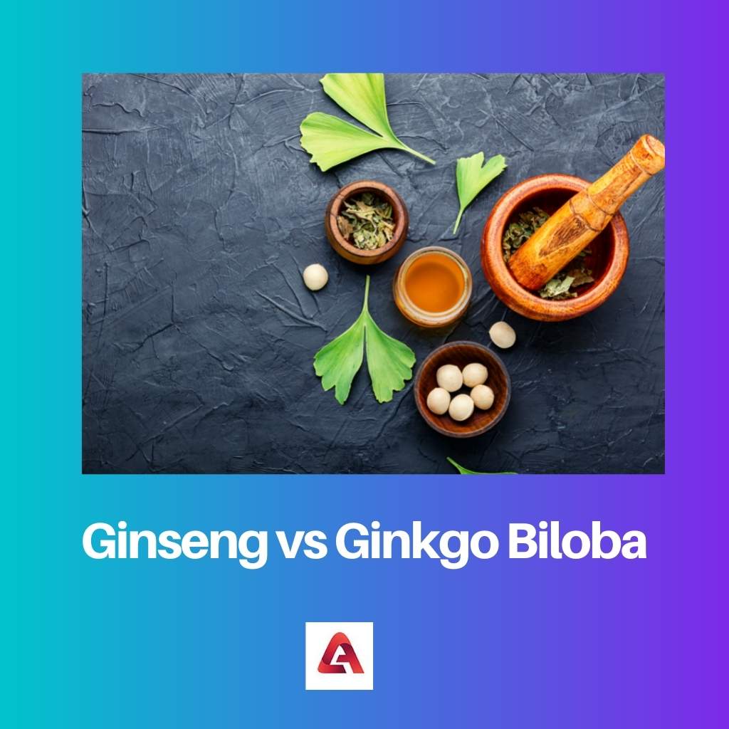 Ginseng vs Ginkgo Biloba