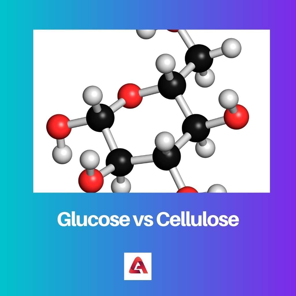 Glucose vs Cellulose