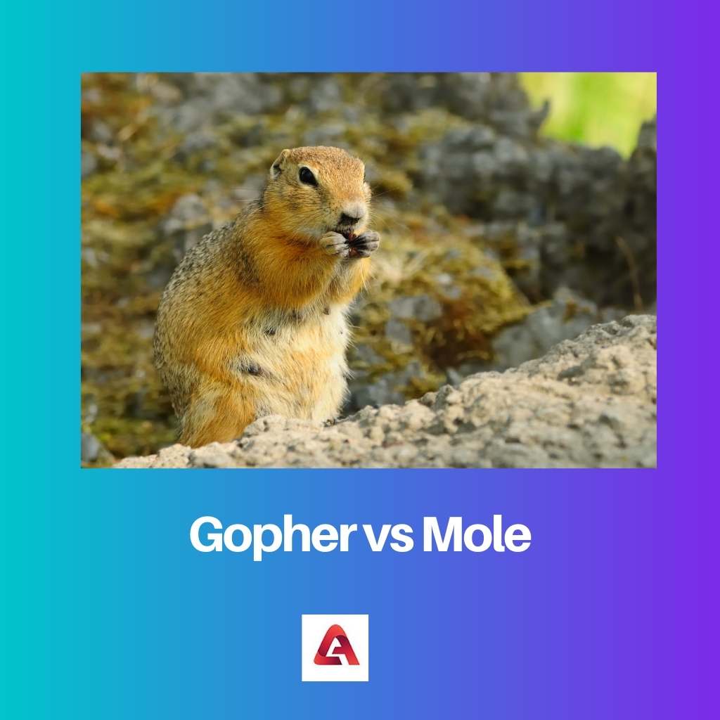 Gopher vs Mole