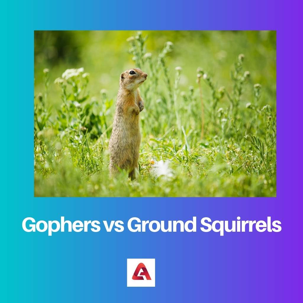 Gophers vs Ground Squirrels