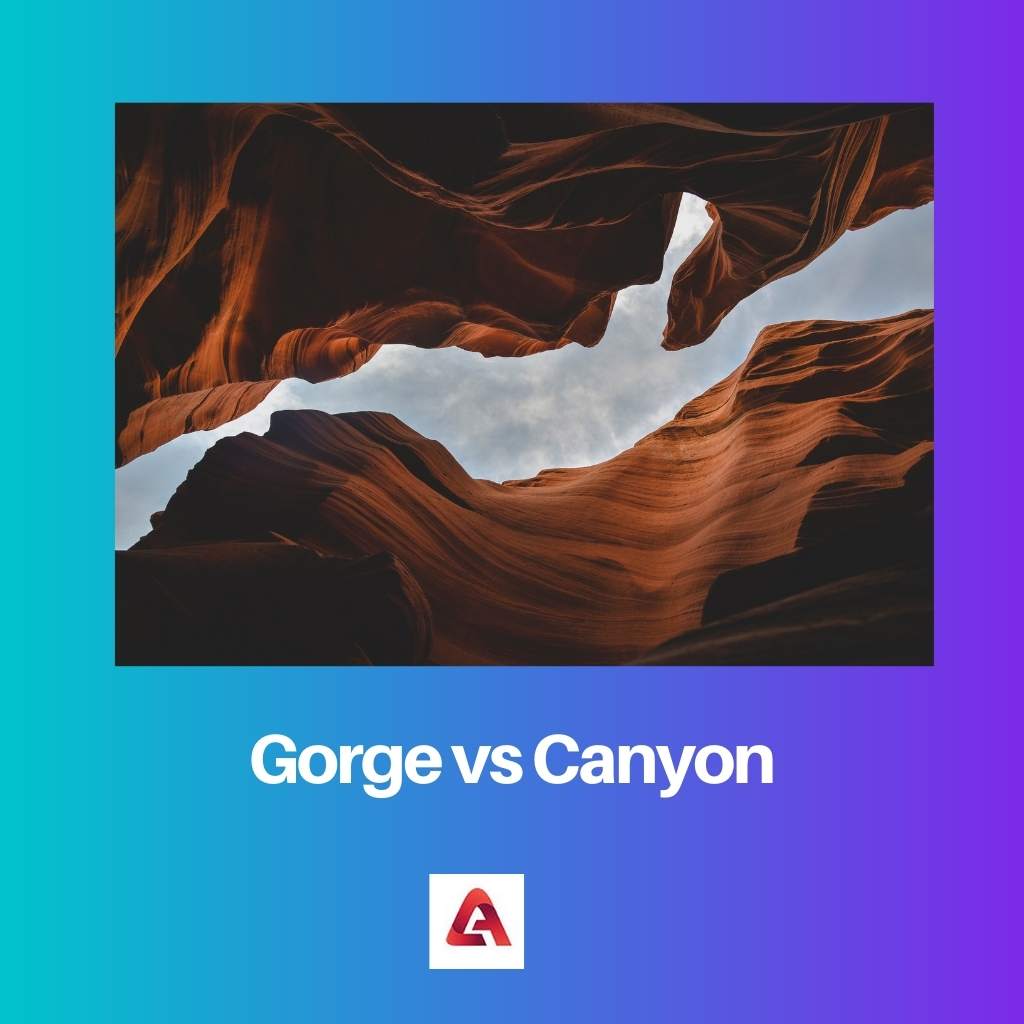 Gorge vs Canyon
